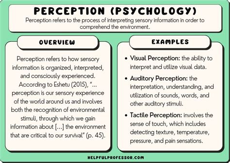 Is Psychology a Science or Art: A Diverse Exploration of Perceptions