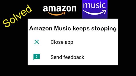 Why Does Amazon Music Keep Stopping: A Symphony of Digital Mysteries